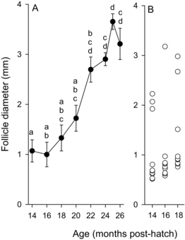 Figure 1 Rainbow Trout (A) follicle diameter means ± SE (N = 10) as a function of age endpoint. Means with the different letters differ significantly (P ≤ 0.05), and (B) follicle diameters of individual females at three time points, each circle representing a single female.