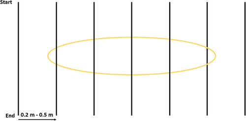 Figure 3. Basic multi-line GPR survey set up with perpendicularly oriented grave. The yellow oval depicts the clandestine grave, with the black lines depicting the GPR survey lines. This way, multiple GPR lines can detect the grave-related anomalies, increasing the chances of locating the grave, as well as providing more precise grave dimensions.