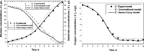 Figure 4. Experimental and simulation results with a conventional and neuro-fuzzy model. Simulation of biomass and substrate concentration (a) and simulation of oxygen concentration (b).