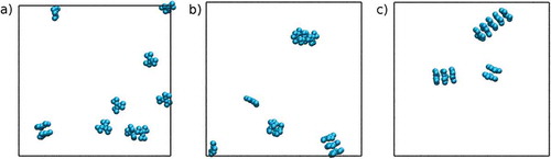 Figure 2. (Colour online) A series of snapshots taken from the simulation of the MARTINI model of TP6EO2M in water at 280 K, showing the central aromatic core of molecules, taken at (a) the start of the simulation, (b) 50 ns and (c) 90 ns. The simulation trajectory shows the spontaneous self-assembly of short chromonic stacks.