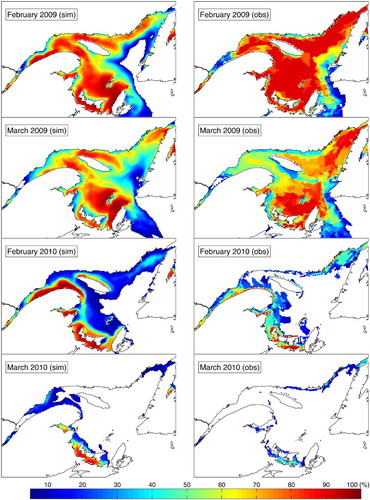 Fig. 9 Sea-ice concentration in February and March of 2009 and 2010, with (left) the Control run and (right) the weekly estimates from the Canadian Ice Service.