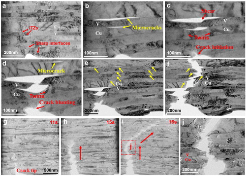 Figure 3. Sequential TEM images of ITZ-mediated fracture in Cu/V NMMs. (a) Sample morphology before loading. (b–f) Zoomed-in TEM images of ITZs-mediated fracture process. (g–i) Fracture of Cu/V NMMs dominated by the sharp interfaces. (j) Zoomed-in TEM images of the fracture surfaces.