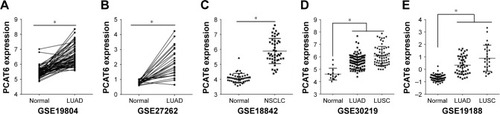 Figure 1 Tissue expression of PCAT6 significantly increased in NSCLC patients from GEO datasets.