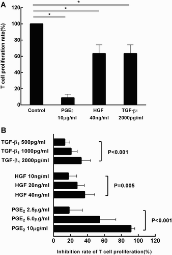 Figure 2. Suppressive role of PGE2, HGF and TGF-β1 on T cell proliferation. T lymphocytes cultured alone (under the stimulation of anti-human CD3 mAb and anti-human CD28 mAb) was served as the control group. Addition of PGE2 (10 μg/ml), HGF (40 ng/ml) and TGF-β1 (2000 pg/ml) significantly suppressed T cell proliferation (*p < 0.001, *p = 0.016, and *p = 0.006, respectively) (A). The immunosuppressive effects of these cytokines intensified in a dose-dependent manner (B). Results were representative of more than six independent experiments, expressed as mean ± S.E, each performed in triplicate.