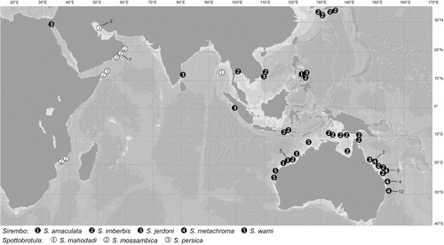 Figure 1. Distribution of examined specimens of Sirembo and Spottobrotula species. Numbers not encircled indicate number of neighbouring stations.