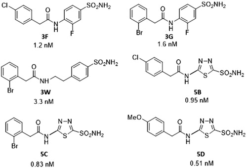 Figure 2. Sulfonamides 3F, 3G, 3W, 5B, 5C, and 5D used in the study and their TcCA inhibitory action.