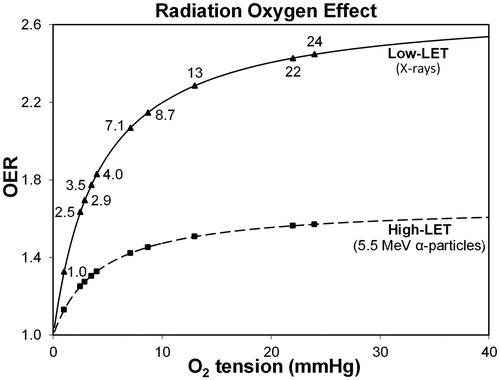 Figure 5. Hypothetical variation in the oxygen enhancement ratio (OER) is evaluated as cell death versus oxygen tension for various regions in the human eye (see Figure 3) that are exposed to low-LET 250 kVp X-rays and high-LET 5.5 MeV α-particles from radon gas. The assumed value of half-maximal O2 concentration is 4.18 mmHg (0.55% O2), while the maximum OER value is 2.70 for X-rays and 1.67 for 222Rn α-particles (Ling et al. Citation1981; Richardson Citation2008).