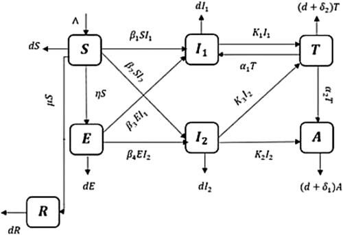 Figure 1. Diagram of SEI1I2TAR formula (Habibah et al., Citation2021a).