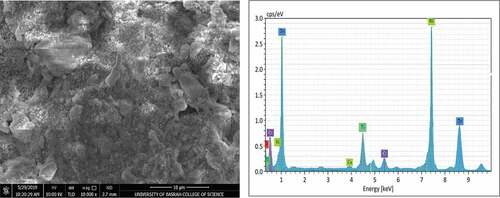 Figure 8. SEM micrograph and EDS analysis for coating sample 4 after application