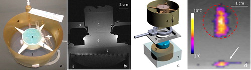 Figure 4. Insights of the in vitro model of perfused tissue hardware and monitoring of MRgHIFU therapy. (a) Photograph of the in vitro model embedded in its dedicated holder, designed to avoid vibrations, and locked in the MR-compatible perfusion machine, (b) T1-weighted MR transverse image of the full set up matched with the 3D drawing of the different elements shown in frame (c). Legend component parts: 1. In vitro model of perfused tissue covered by standard ultrasonic gel, 2. 3D printed holder, 3. Perfusate, 4. Perfusion circuit and reservoir, 5. HIFU transducer, 6. Acoustic gel cushion for acoustic coupling, 7. Degassed water for acoustic coupling, 8. MR loop coil, 9. Basal support for coil and reservoir. (d) Illustration of a low power HIFU sonication in the transverse plane as seen by PRFS MR thermometry. The white arrow indicates the planar interface between the acoustic gel cushion (6) and the gel matrix of the perfused model, visualizing minimal heating. The dotted red line delimitates the cross section of artificial capillaries region.