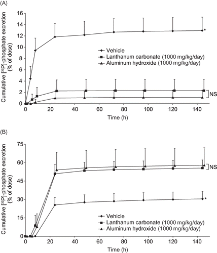 Figure 1. The effects of lanthanum carbonate and aluminum hydroxide on urinary (A) and fecal (B) excretion of [32P]-phosphate in rats with normal renal function. Rats (n = 5 per group) were treated with vehicle, lanthanum carbonate, or aluminum hydroxide by oral gavage for 12 days. On day 7, animals received a single oral dose of 11 µCi [32P]-phosphate. Urine and feces were then collected continuously for 144 h and sample radioactivity was determined. Data are mean ± SD.Notes: *Denotes p < 0.05 versus lanthanum carbonate and aluminum hydroxide; NS, not significant.