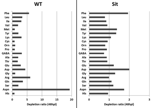 Figure 4. Amino acid depletion ratios (levels in mock vs. infected samples) in Botrytis-infected sitiens (Sit) and wild-type (WT) tomato at 48 hpi. Among all amino acids, asparagine displays the most marked depletion in the wild-type plant.