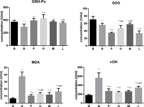 Figure 4 Effect of geraniol on oxidative factors in MRSA-infected blood. B: control group, N: model group, P: positive control group, H: high dose group, M: medium-dose group, L: low dose group. *<0.05, **<0.01 represents a significant and very significant difference among the groups compared to control, respectively. Δ<0.05, ΔΔ<0.01 represents a significant and very significant difference among the groups compared to the model, respectively. #<0.05, ##<0.01 represents a significant and very significant difference among the groups compared to the positive control, respectively.