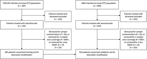 Figure 1. Study flowchart. 105 patients and 324 patients were enrolled in the training set and the validation set. MSAF, maximum somatic allele frequency