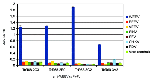 Figure 4. Analysis of cross-reactivity with other alphaviruses by a qualitative sandwich ELISA. The monoclonal SFV12/2, mAb Pix c/t 6/2 or VEE-WIS1 (3 µg/mL) were coated for capturing and different alphaviruses were applied (TCID50/mL WEEV: 4x105; EEEV: 6x105; VEEV: 8x106; SINV: 8x105; SFV: 2.5x106; CHIKV: 7x105; PIXV: 8x105). Staining was performed with 2 µg/mL biotinylated anti-WEEV scFv-Fc antibodies (200 ng/mL for ToR68–3G2), followed by streptavidin-HRP conjugate (1:4,000). Three ELISA experiments were performed in parallel, with the exception of CKIKV and PIXV for ToR68–3G2. Here, only two ELISA experiments were performed. As negative control, antibody binding to Vero cell culture material was tested.