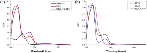 Figure 3. The UV–Vis spectroscopy of HDS, HDS-HS, protein and conjugates; (a) confirmation of immunogen (HDS-HS–KLH); (b) confirmation of coating antigen (HDS–OVA).