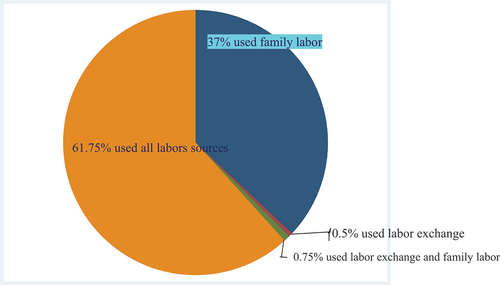 Figure 14. Sources of labor used for Garlic production.Source: Own Sketch, 2021.