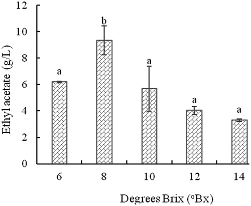 Figure 5. Effect of degrees Brix on the concentration of ethyl acetate produced by yeast strain YF1503.