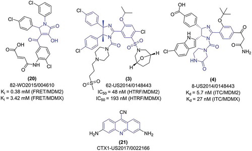 Figure 6. Structure and in vitro activity of exemplary MDMX inhibitors.
