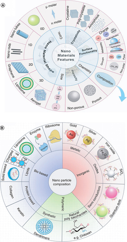 Figure 1. Types of nanomaterials and composites considered in this review and different types of nanoparticles divided into organic, polymeric, bio-based and inorganic categories.(A) Features and types of nanomaterials. (B) Classifications of nanoparticles based on composition.