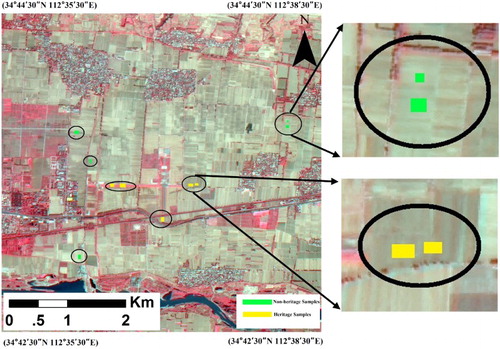 Figure 3. Satellite GF-1 false color image with a spatial resolution of 8 m acquired on 28 September, 2013. The circles and elliptical shapes include Ch and NCh ROIs, yellow and green colored, respectively. GF-1 image was provided by China Centre For Resources Satellite Data and Application.