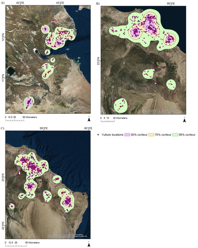Figure 1. Locations (3-hourly), and 95%, 75%, and 50% KDE home ranges for (A) Horn of Africa vulture EV1; (B) Oman vulture EV2; and (C) Oman vulture EV3. See Table 1 for detailed information on the individual vultures.