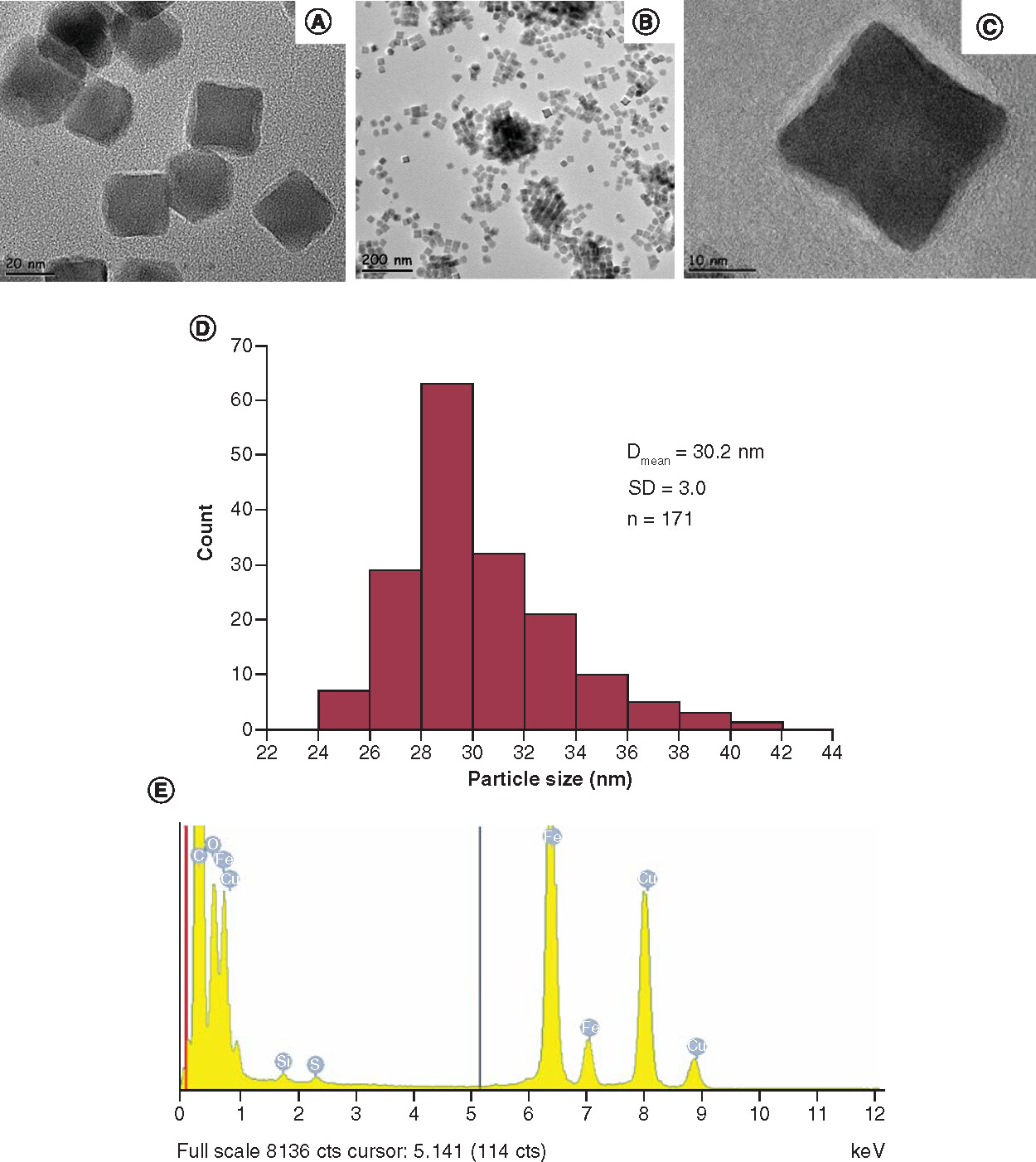 Figure 2. Transmission electron microscope images (A–C) at different magnifications, corresponding particle size distribution (D) and transmission electron microscope energy dispersive X-ray spectrum (E) of the iron oxide nanoparticles after surface functionalization with meso-2,3-dimercaptosuccinic acid.Dmean: Mean cube edge length of the nanoparticles; SD: Standard deviation; n: Number of the nanoparticles counted.
