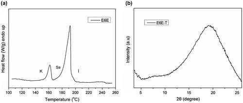 Figure 6. (a) DSC curve of E6E monomer and (b) XRD pattern of E6E-T measured at room temperature.