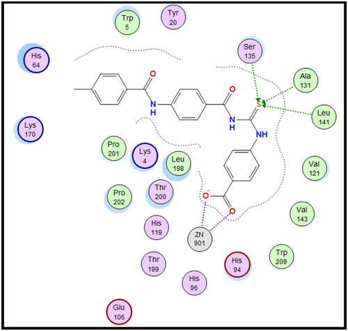 Figure 7. 2D interaction of compound 8f within the active site of hCAXII.