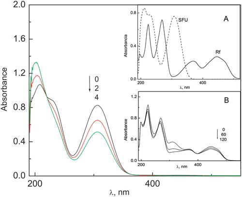 Figure 2. Spectral changes of SFU (0.3 mM) vs. Rf (0.02 mM) in MeOH–H2O 1:1 (v/v) solutions upon irradiation under aerobic conditions. (A) Absorption spectra of Rf and SFU vs. MeOH:H2O. (B) Spectral changes of SFU (0.3 mM) + Rf (0.02 mM) in MeOH–H2O (1:1, v/v) solutions upon irradiation under aerobic conditions. Numbers above the spectrum indicate irradiation time in minutes.