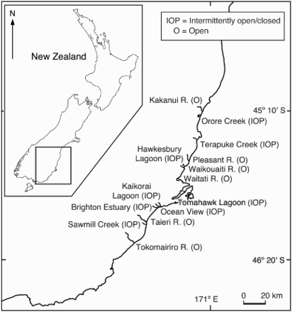 Figure 1. Sampled estuaries along the Otago coast of southern New Zealand.