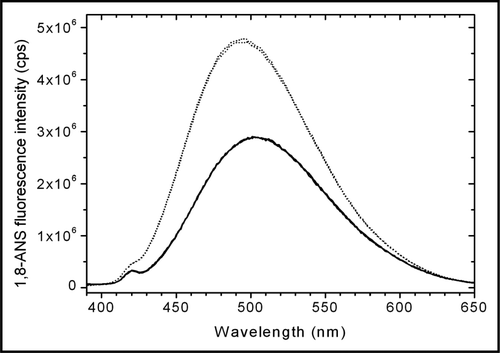 Figure 4 Steady-state fluorescence emission spectra of 50 µM ANS in the presence of NaCl-diluted trastuzumab (solid line) and dextrose-diluted trastuzumab (dotted line). When trastuzumab was diluted in 5% dextrose, ANS exhibited a higher fluorescence as well as a shift to smaller wavelengths, indicative of a stronger binding of ANS to dextrose-diluted trastuzumab than to NaCl-diluted trastuzumab.