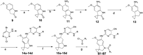 Figure 3. Synthesis of B1-B7, Reagents and conditions:(a) (i) iPr2NH, nBuLi, THF, –60 °C, (ii) BrCH2CH2Br, 60 °C; (b) HNO3, Ac2O, DCM, rt; (c) Fe, NH4Cl, MeOH, H2O; (d) LiAlH4, THF, 70 °C; (e) pTSA, Dioxane,100 °C, 2 h; (f) Zn(CN)2, DMF, H2O, 120 °C(MW)/90 min; (g) TEA, DCM, 0 °C, 2 h.