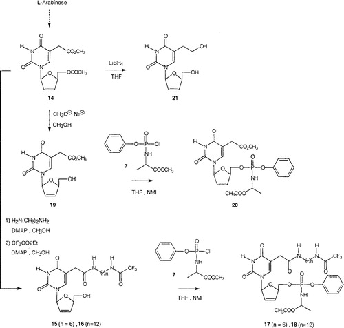 Figure 2 Chemical synthesis of novel β-L-arylphosphoramidate d4T analogues 17, 18 and 20.