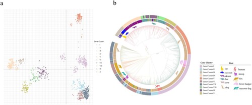 Figure 1. Phylogenetic relationships of circulating rabies virus strains. (a) Phylogenetic tree of 2896 rabies viruses based on G gene sequences. The sequences were classified into ten clusters, named I–X. (b) A phylogenetic tree showing the relationships with the host and region. The branch colours represent the region, and the circles and animal pictures represent the hosts. Canine refers to rabies viruses isolated from dogs; although raccoon dogs and foxes are technically also canines, they are listed separately in this study. Other represents a small number of hosts that are less specific, such as donkey, pig, and some unknown hosts. In the clockwise direction, the circles show RABVs isolated from cats, raccoons, skunks, bats, cows, dogs (canine), ferret badgers, dogs (canine), humans, sheep (ovine), raccoon dogs, foxes, and dogs (canine).