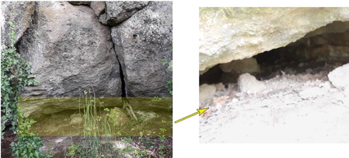 Figure 5. Images show how difficult it was to detect the entrance to the cavity. The magnified image on the right illustrates the inner part of the cavity beyond the obstructed access.