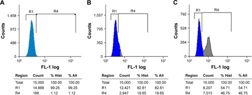 Figure 7 Comparative in vitro uptake study of FITC-labeled D4 (FITC-D4) and niosome-encapsulated FITC–D4 by flow cytometry: (A) THP1 cells only; (B) THP1 cells incubated with FITC–D4 only; and (C) THP1 cells incubated with niosome-encapsulated FITC–D4.Notes: R1 denotes the cell population unexposed to FITC–D4. R4 denotes cell population, which has phagocytosed FITC–D4.Abbreviations: D4, PA Domain 4; FITC, fluorescein isothiocyanate; Hist, histogram; NISV, nonionic surfactant–based vesicles; PA, protective antigen.