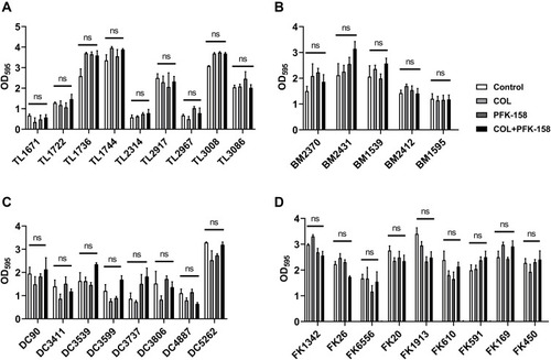 Figure 3 Biofilm eradication effects of colistin combined with PFK-158 on colistin-resistant GNB. (A) P. aeruginosa; (B) A. baumannii; (C) E. coli; (D) K. pneumoniae. (determined by a two-sample t-test). The results are shown as the mean and standard deviation of three independent experiments.