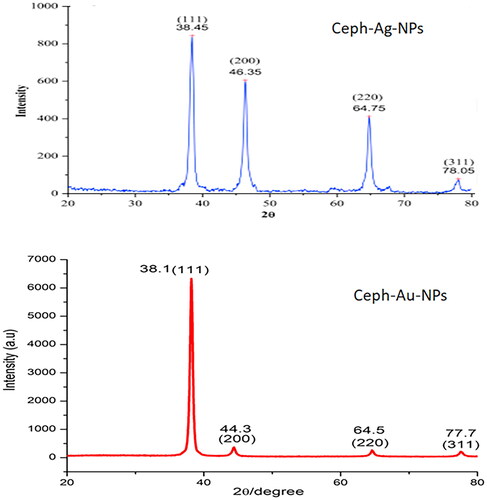 Figure 13. Particle size analyses of Ceph-Ag and Ceph-Au NPs using XRD.