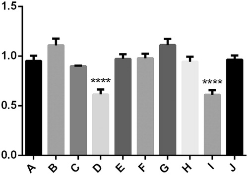 Figure 2. There was no significant difference between group A, B, C and E. However, the expression of LC3 protein was significantly lower in group D, ****p < .05 compared to other cases. The same results appeared in group F–J, the expression of LC3 protein was significantly lower in group I, ****p < .05 compared to other cases.