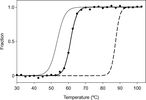 Fig. 5. Thermal denaturation of the SACP protein, as measured by CD.Notes: Normalized raw data are shown by filled circles with a temperature interval of 2 °C. The fitting curve obtained from the SACP data with a temperature interval of 0.5 °C is shown as a solid black line. The fitting curves for AVCP (solid gray line) and PHCP (dashed black line) obtained under the same experimental conditions are redrawn based on the previous results.Citation3)