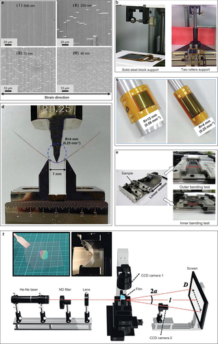 Figure 5. Characterization methods for strength failure. (a) SEM images of Mo films of varying thickness - (I) 500 nm, (II) 250 nm, (III) 70 nm, and (Ⅳ) 40 nm - on PI substrates after the application of a 12% strain. Adapted with permission. Copyright 2017, Elsevier BV [Citation130]. (b) the falling ball test, employed to evaluate the reliability of pressure stress concentrations in flexible displays. Left, a fully supported sample backed by a solid steel block. Right, a partially supported sample propped on two rollers. Reproduced with permission. Copyright 2008, IEEE [Citation176]. (c) static bending test of the CIF assembly, utilizing bending rods of varied radii. Adapted with permission. Copyright 2016, IEEE [Citation177]. (d) three-point static bending test. Reproduced with permission. Copyright 2016, IEEE [Citation177]. (e) the lab-made bending test machine and outer/inner bending test experiments. Reproduced with permission. Copyright 2014, Elsevier BV [Citation178]. (f) optical device for strain measurement on the surface of a curved film. Adapted with permission. Copyright 2021, Wiley-VCH Verlag [Citation179].