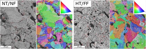 Figure 4. EBSD of NT/NF (left) and HT/FF (right) cross-section after sintering showing band contrast image with FCC phase marked by red colour and inverse pole figure. EBSD indexing is based on FCC, BCC, and Fe3C.