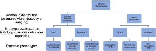 Figure 3 Breakdown of CRS.