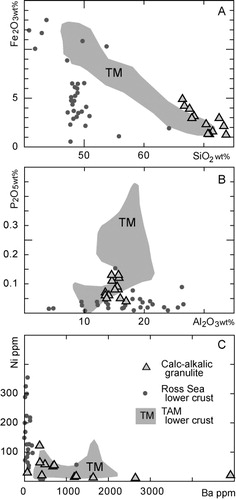 Figure 5 Whole rock chemistry of Mount Morning granulite xenoliths. Field for comparison is the Transantarctic Mountain-like lower crustal granulite xenoliths (TM) and grey circles show Ross Sea-like data from lower crustal granulite xenoliths, after Kalamarides & Berg (Citation1991). A, wt% SiO2 versus Fe2O3. B, wt% Al2O3 versus P2O5. C, ppm Ba versus Ni.