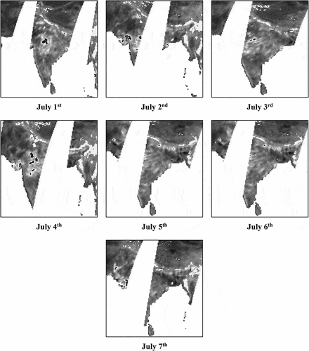 Figure 4. Descending pass scenes depicting swaths of soil moisture data of India recorded from 1 July 2003 to 7 July 2003.