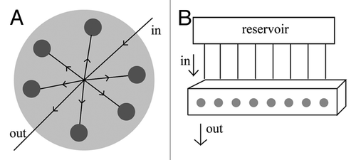 Figure 3. (A) Representation of the perfusion chamber described by Grayson et al.Citation32 The media goes in through one end and it is distributed equally by the six individual chambers (each holding one scaffold shown in gray) and finally goes out through the opposite end. (B) Representation of the system described by Cartmell et al.Citation62 The perfusion block is composed by eight individual chambers (each holding one scaffold, entrance of the chamber shown in gray). Each chamber is fed individually by a tube that comes from the reservoir.