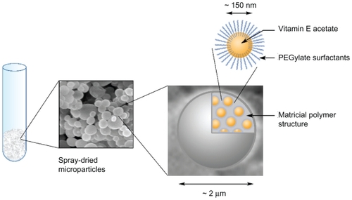 Figure 9 Schematic illustration of the spray-dried microparticles encapsulating vitamin E acetate nanoemulsions.