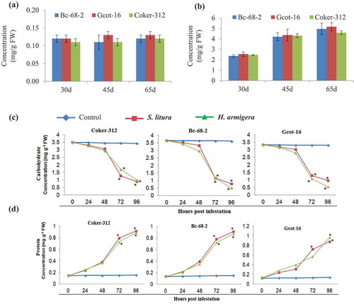 Figure 2. The changes in carbohydrate and protein metabolism in the cotton varieties due chewing pest infestation. Basal concentration levels of total carbohydrates (a) and total proteins (b) in cotton varieties at different growth stages (30, 45 and 65 days). Values are averages of nine independent replicates ± SD. The change in total carbohydrate (c) total protein (d) level at indicated time points during biting and chewing pest infestation. Significant differences between control and treatment are indicated by * = P < 0.05.