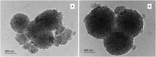 Figure 3. TEM images of uncoated HMS (A) and chitosan/alginate-coated HMS (B), loaded with pramipexole.